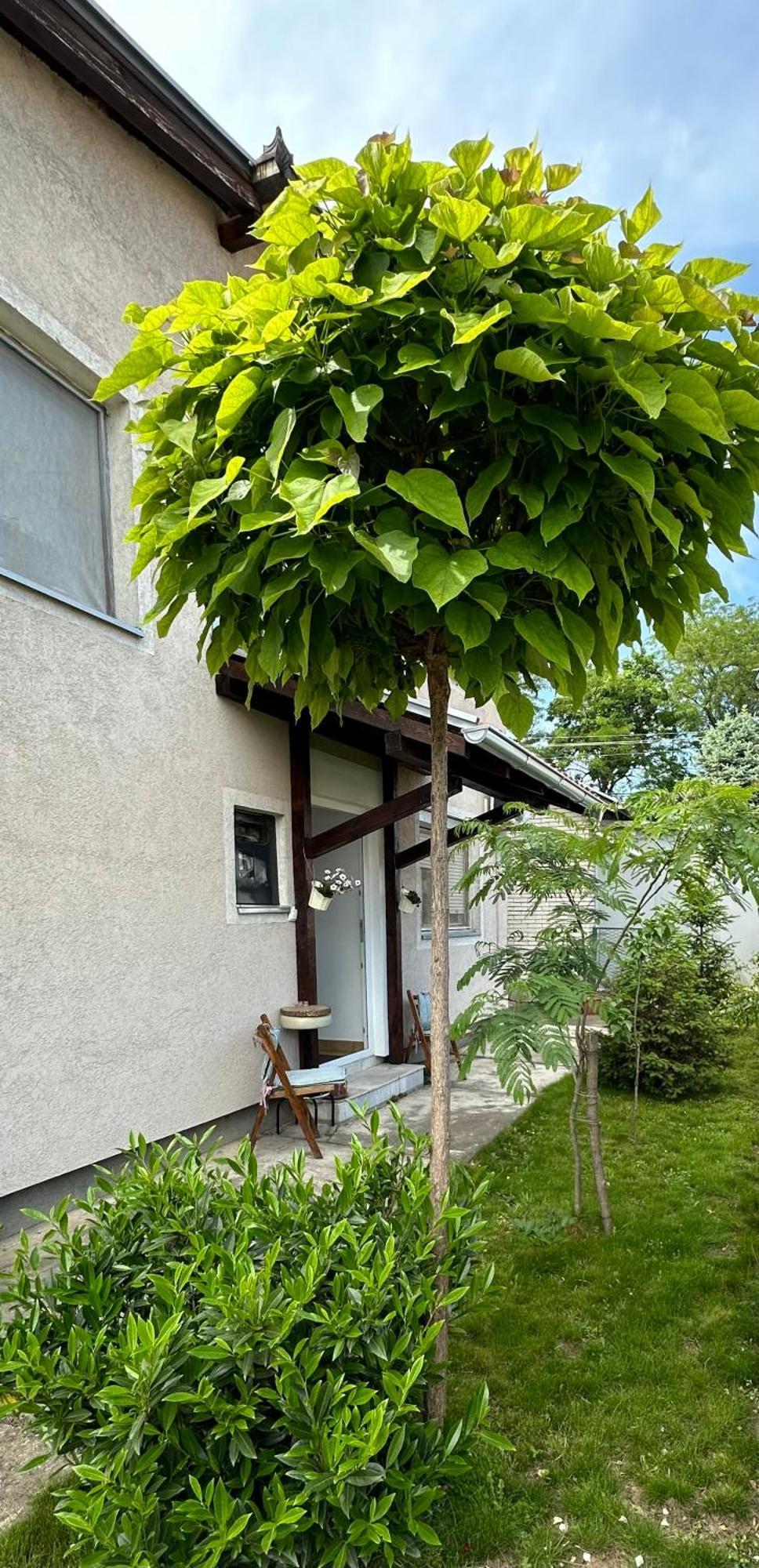 Day & Night Apartment Cuprija Exterior photo